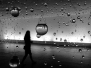 562334_550047605018207_606250118_n[1].jpg